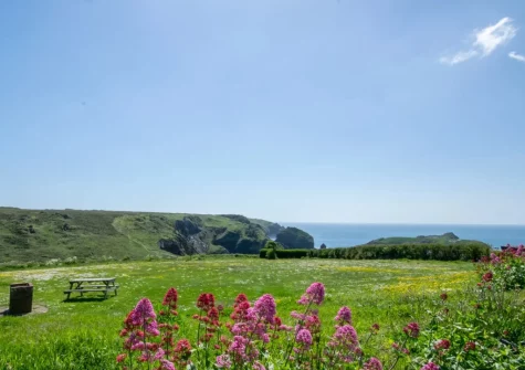 The view from the terrace & alfresco dining area at Seaspray Cottage, Mullion Cove