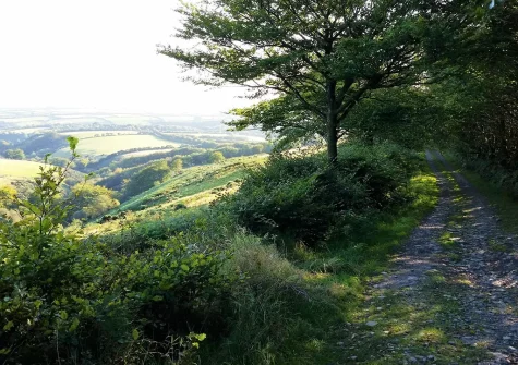Shirleys Cottage is located on the edge of Exmoor National Park, this rural retreat is perfect for walking & cycling