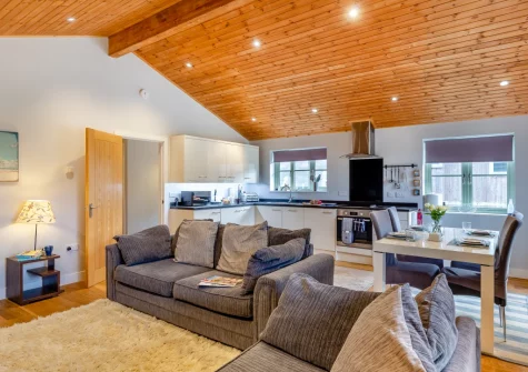 The living, kitchen & dining area at Snowy Owl, Winnard's Perch