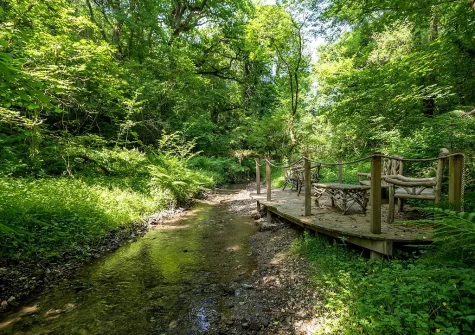 Explore Old Lanwarnick Cottages' woodland walk