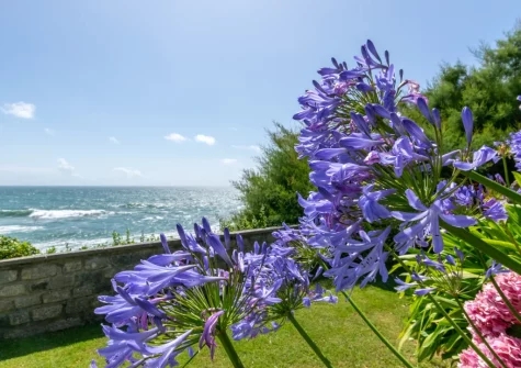 The secret garden at St Michaels, Porthleven