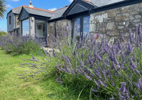 The patio, outdoor sitting area & enclosed lawned garden at Standing Stones, Newlyn