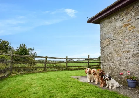 The property enjoys an enclosed lawn, which your pets will love