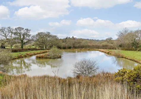 Guests have access to seven acres of private grounds with two lakes stocked with carp