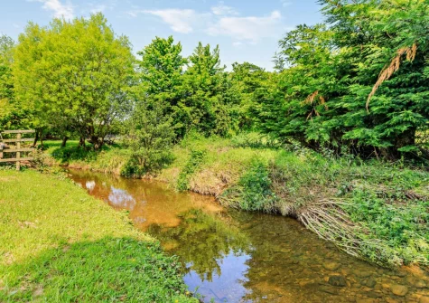 The shared garden has a flowing stream, a tranquil space to relax in the sun