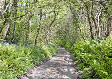 You can stroll out direct from the farm on many circular walks when you stay at Swallows Retreat, Edistone