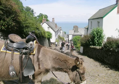 Swallows Retreat is an ideal base for exploring Clovelly & everything the area has to offer