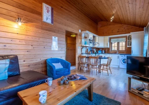 The living area at Swift Lodge 17, Clovelly Lakes, Higher Clovelly