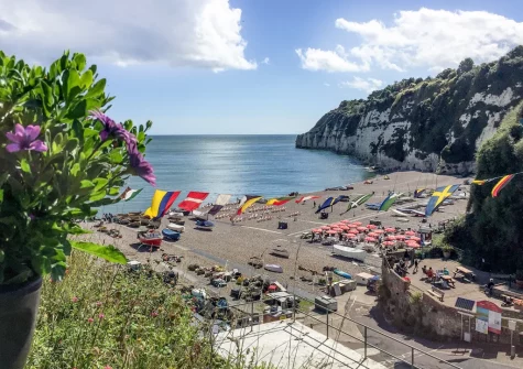 Visit picturesque Beer Beach is a sheltered pebble beach renowned for its dramatic white chalk cliffs & active fishing fleet