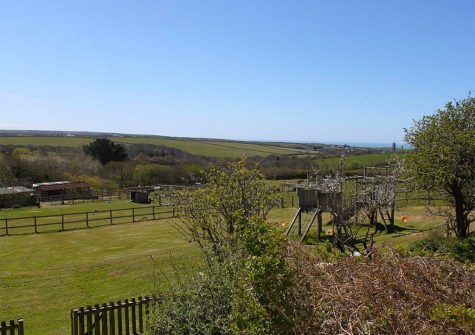 The picnic area at Tack Room, Blagberry