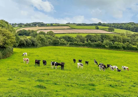 Enjoy beautiful views over the fields toward Dartmoor when you stay at Thatch View Cottage, Roborough