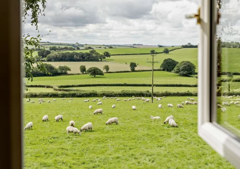 The view from bedroom #1 at The Arch Barn, South Molton