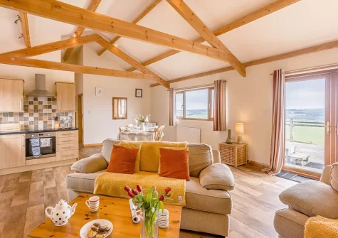 The living area at The Cabin, Bideford