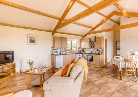 The living area at The Cabin, Bideford