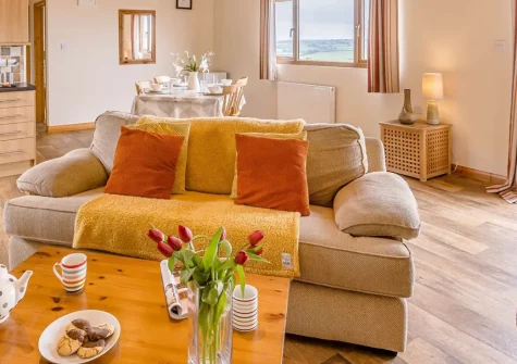 The Cabin, Bideford