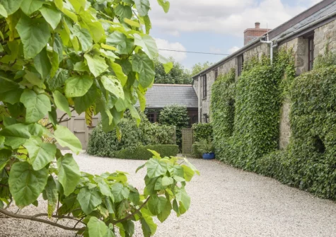 The Corner Cottage is tucked away in the Cornish countryside, a sanctuary of peace and tranquility