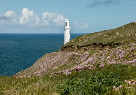 Hartland Heritage Coast offers an array of picturesque coastal walks