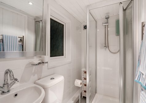 The bathroom @ The Dell, Torpoint