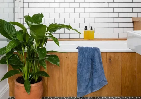 The bathroom at The Farmhouse, Venn Farm, Pancrasweek