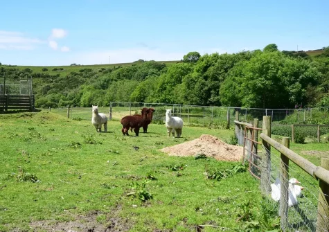 The Granary is situated on a 20 acre working farm with a variety of animals to meet