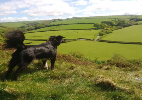 There's miles of country walks to explore from The Hayloft, Oare