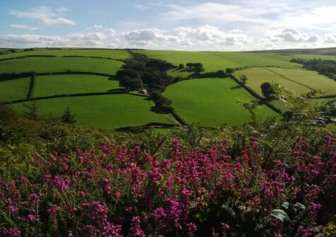 There's miles of country walks to explore from The Hayloft, Oare
