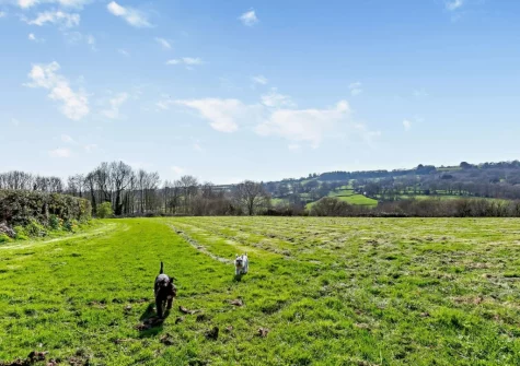 Your four legged family members will loe the large dog friendly exercise field adjacent to the cottage
