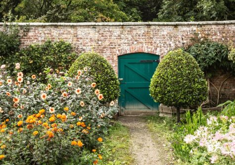The flower gardens at The Lost Slipper, Kestle Mill