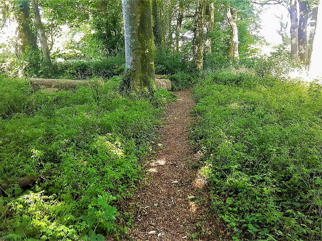The Mews, Glebe House Cottages, Bridgerule Holiday homes in Holsworthy