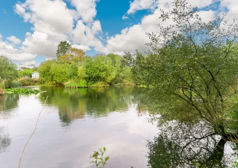 One of three coarse fishing lakes at Penvose Farm, Tregurrian