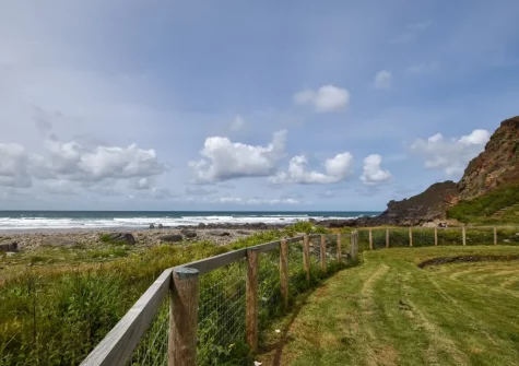 The garden at The Nook, Northcott Mouth
