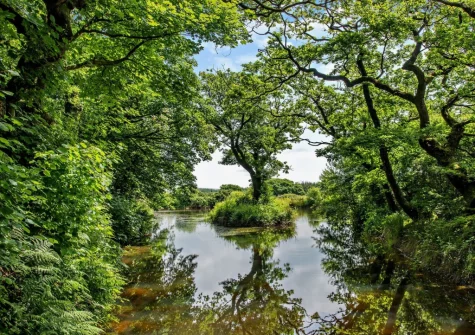 Leading on from the garden you have access to the owners 8 acres of peaceful grounds, that includes a small lake, to enjoy