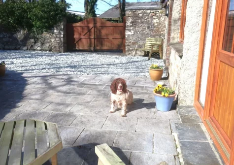 The patio & outdoor sitting area at The Old Cart House, Lanivet
