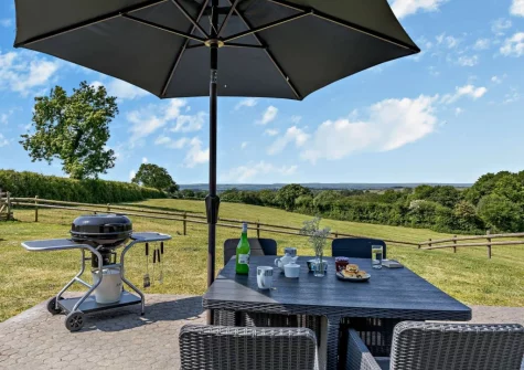 The patio, barbecue & alfresco dining area at The Old Shippon, Virginstow