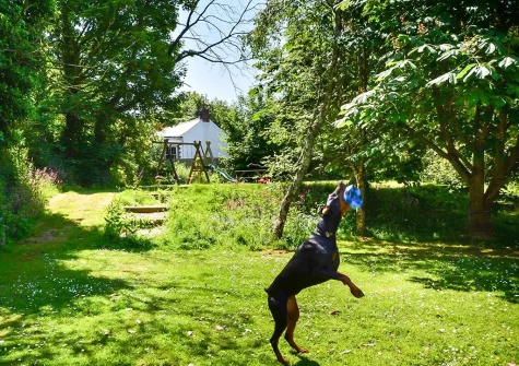 The shared enclosed garden with an extensive lawn where your dogs can run free