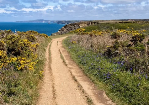 The Orangerie is an ideal base for exploring along the South West Coast Path