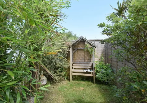 The garden at The Palms, Newquay