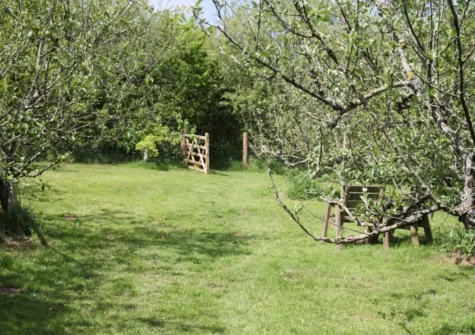 Enjoy walks through woodlands, apple orchards & wild flower meadows when you stay at The Piggery, High Bickington