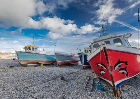 The Rose Lodge is an ideal base for exploring Beer & everything the area has to offer