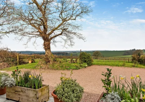 The front garden & outdoor sitting area at The Shippon, Hembury Gate Farm, Sheepwash