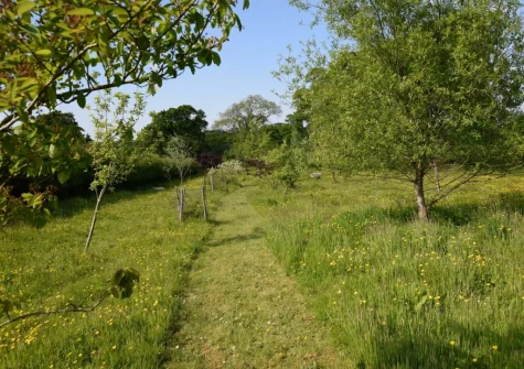 Guests have access to a paddock, which makes an ideal place for playing games & dog walking