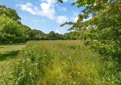 The surrounding meadow & woodland are well worth exploring when you stay at The Stable, Dunmere