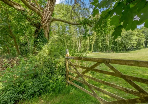 The surrounding meadow & woodland are well worth exploring when you stay at The Stable, Dunmere