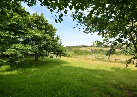 Guests staying at The Stone Barn at Hock Ridge Farm are welcome to wander the land
