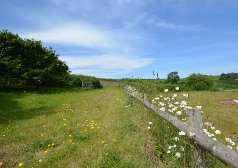 Guests staying at The Stone Barn at Hock Ridge Farm are welcome to wander the land