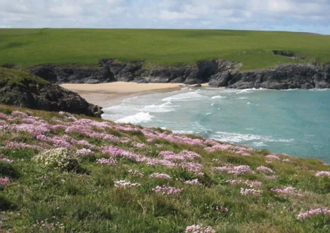 The Studio is perfect for beautiful coastal walks straight from your doorstep & within easy reach of several dog friendly beaches