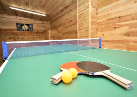 The games room at The Swallows Barn, Bray Shop