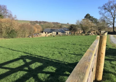The shared half acre enclosed paddock, perfect for exercising dogs, at The Swallows Barn, Bray Shop