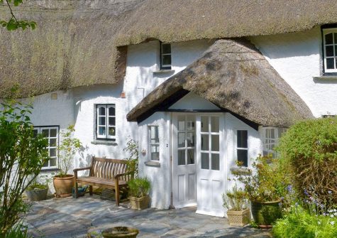 The patio at The Thatch Cottage, South Petherwin