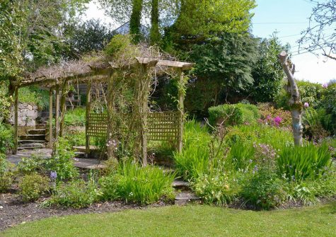 The garden at The Thatch Cottage, South Petherwin
